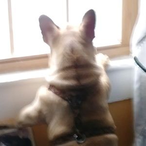 Meet your Posher, Maria